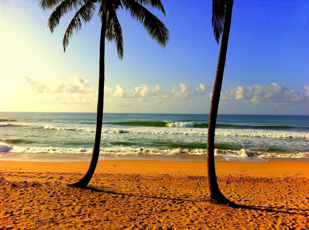 Отель Bahia Surf Camp Abrantes Экстерьер фото